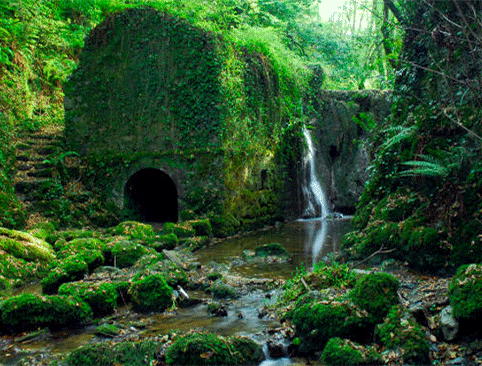 ma-première-colo-chez-bonzai-avec-le-trek-en-Iraty
