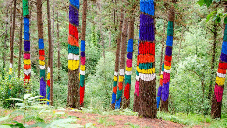 sejour trek irati été 2024