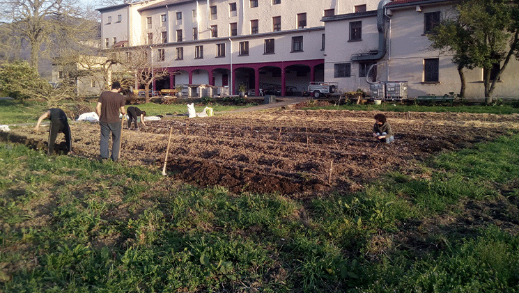 artxepean-ziordia-bonzai-egonaldiak